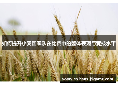 如何提升小麦国家队在比赛中的整体表现与竞技水平