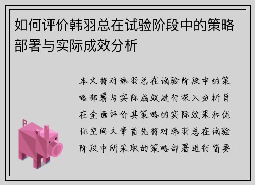 如何评价韩羽总在试验阶段中的策略部署与实际成效分析 如何评价韩羽总在试验阶段中的策略部署与实际成效分析