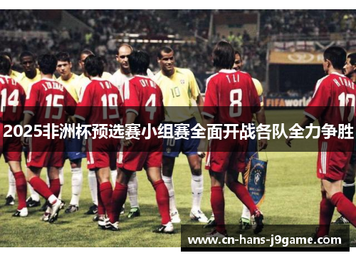 2025非洲杯预选赛小组赛全面开战各队全力争胜 2025非洲杯预选赛小组赛全面开战各队全力争胜