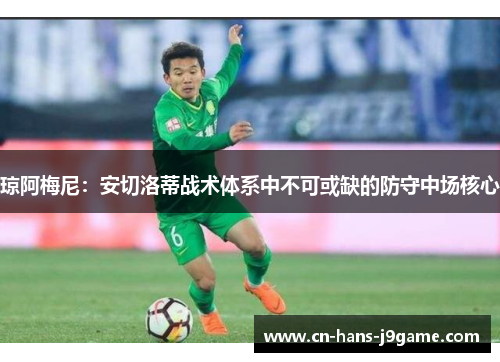 琼阿梅尼：安切洛蒂战术体系中不可或缺的防守中场核心